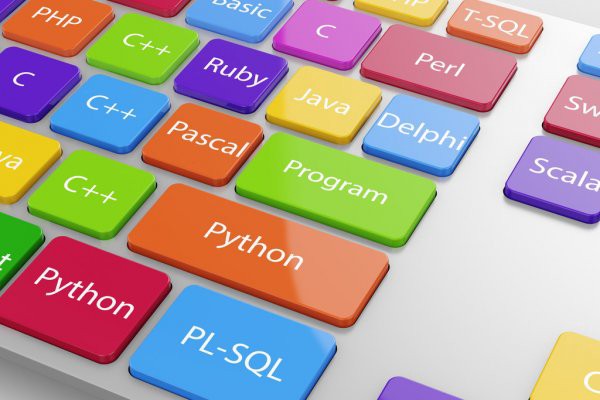 Какой язык программирования следует изучать новичкам?