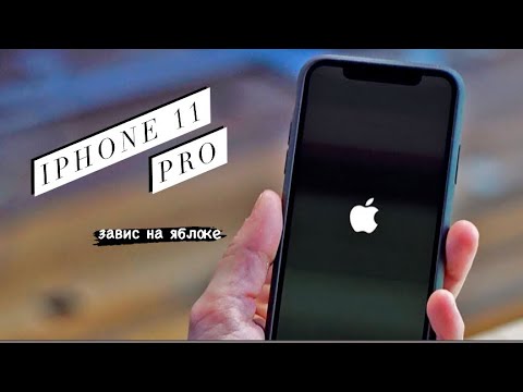 iPhone 11 Pro Max не включается